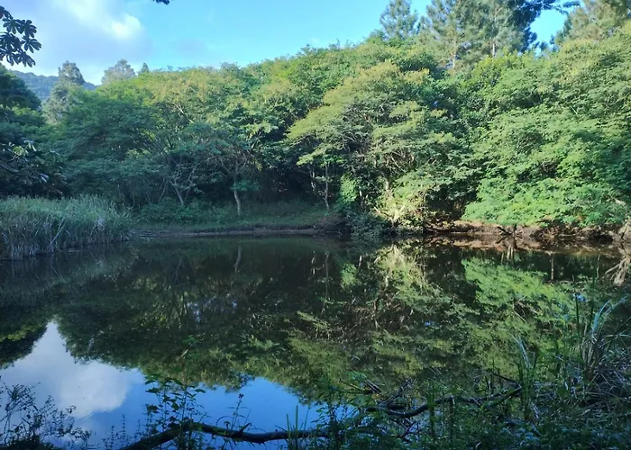 Condado Aldeia Dos Reis