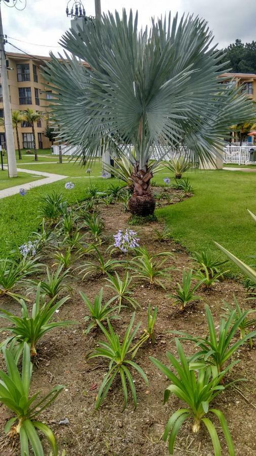 Apartment Condado Aldeia Dos Reis *